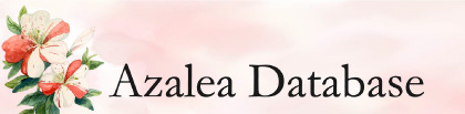MainBanner